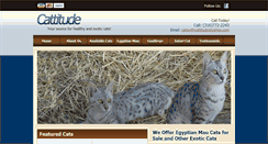 Desktop Screenshot of catswithcattitude.com